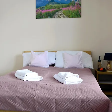 Kasprowy Apartment